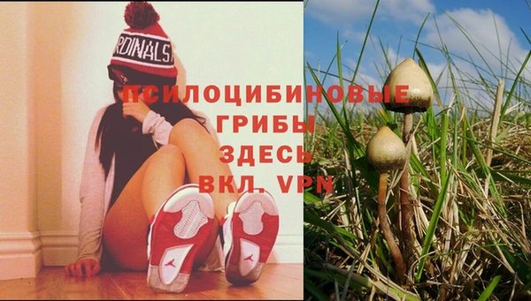 метадон Богородицк